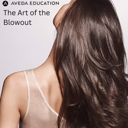 Halifax, NS - Aveda Atlantic The Art of the Blowout - November 23rd, 2026